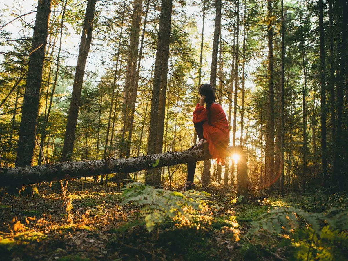 La cécité botanique
