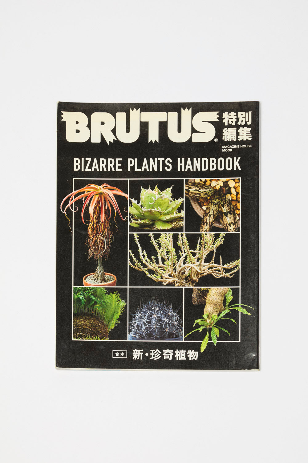 brutus bizarre plants handbook 5 - Jardinerie Akou
