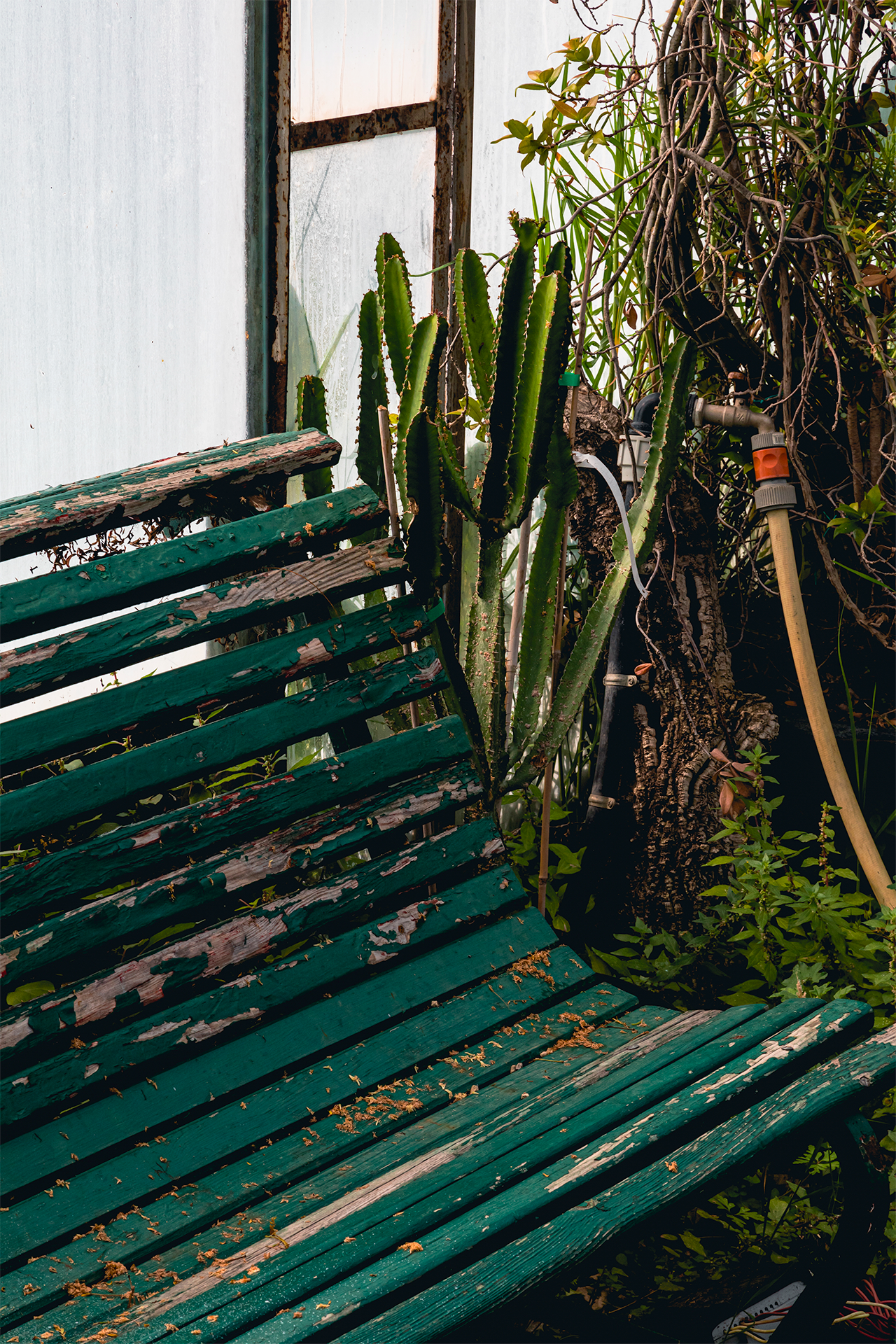 création de jardin sur mesure jardinerie akou