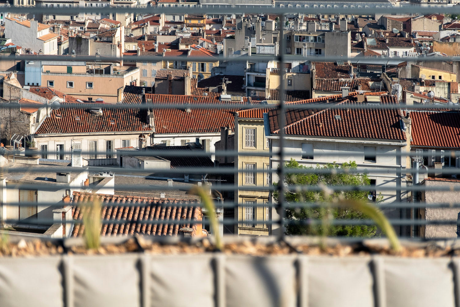 jardinières de plantes méditerranéennes à Marseille