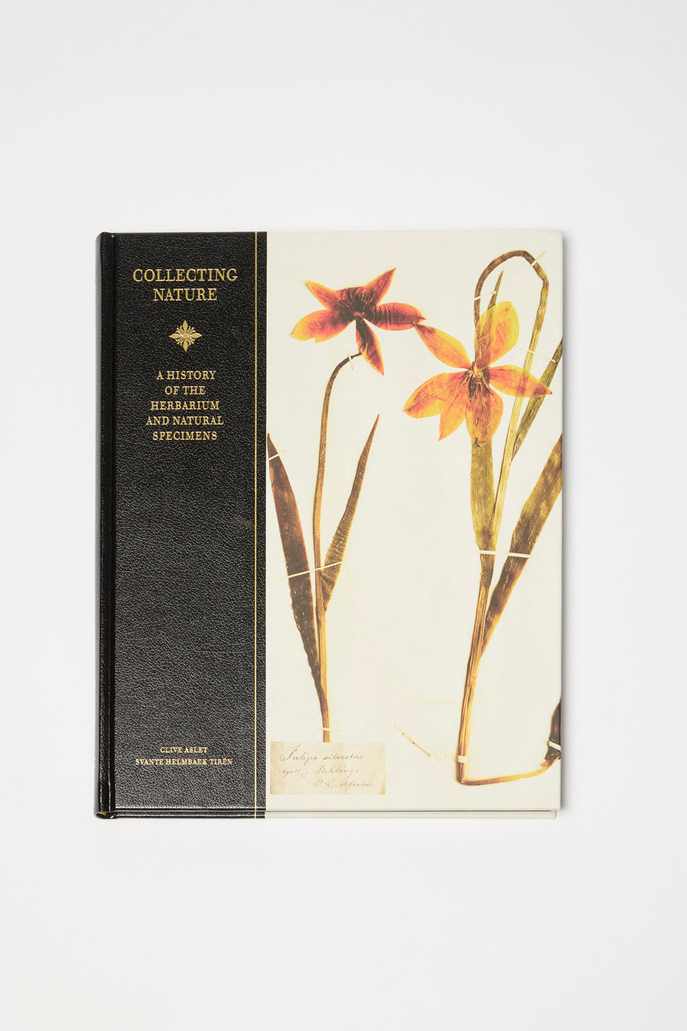 collecting nature a history of the herbarium and natural specimens